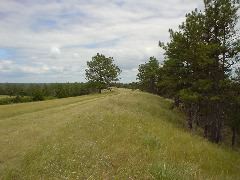 DSC01333.JPG