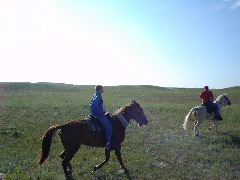 DSC01342.JPG