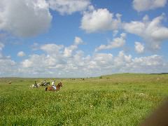 DSC01352.JPG