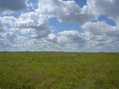DSC01353.JPG