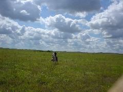 DSC01354.JPG