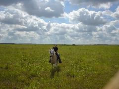 DSC01355.JPG