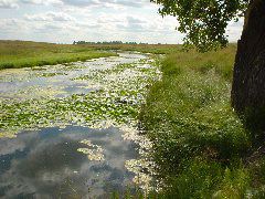 DSC01359.JPG