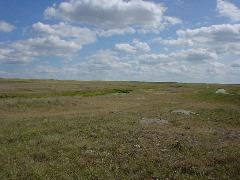 DSC01366.JPG