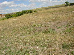 DSC01367.JPG