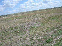 DSC01368.JPG