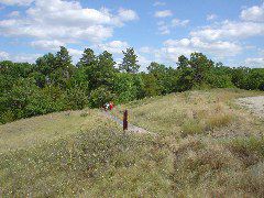 DSC01372.JPG