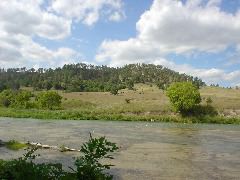 DSC01381.JPG