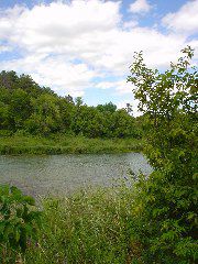DSC01390.JPG