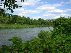 DSC01391.JPG
