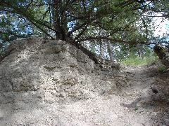 DSC01398.JPG