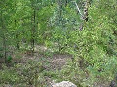 DSC01400.JPG