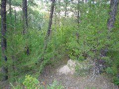 DSC01402.JPG