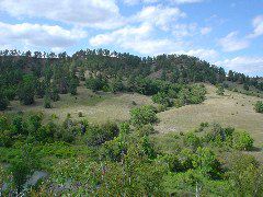 DSC01405.JPG