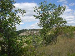DSC01406.JPG