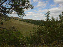 DSC01411.JPG