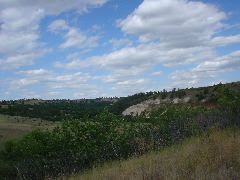 DSC01412.JPG