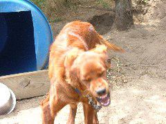 DSCF2230.JPG