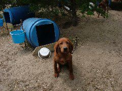 DSCF2231.JPG