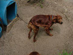 DSCF2233.JPG