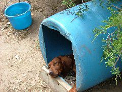 DSCF2236.JPG