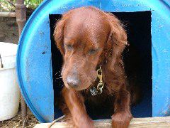DSCF2238.JPG