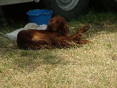 DSCF2253.JPG