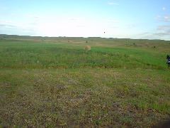 DSC01216.JPG