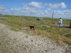 DSC01218.JPG