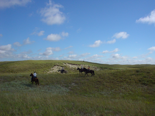 DSC02645.JPG