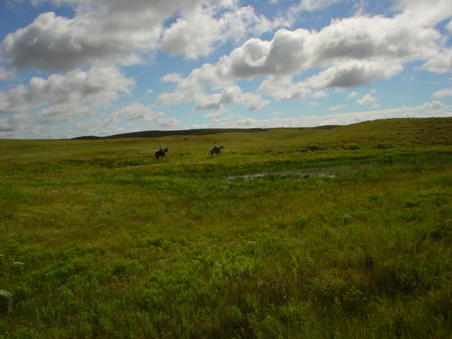 DSC02666.JPG