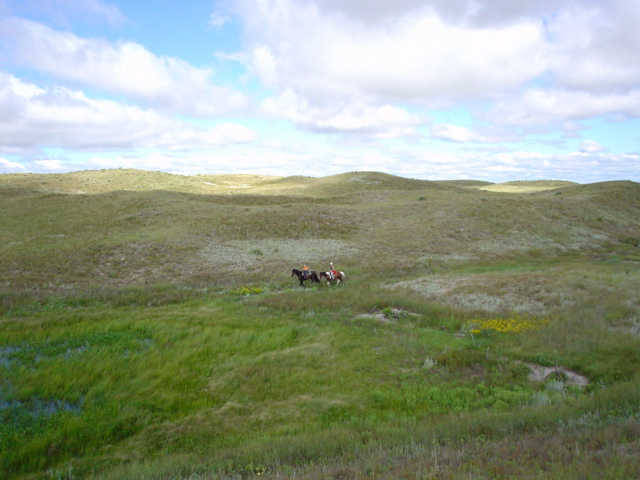 DSC02672.JPG