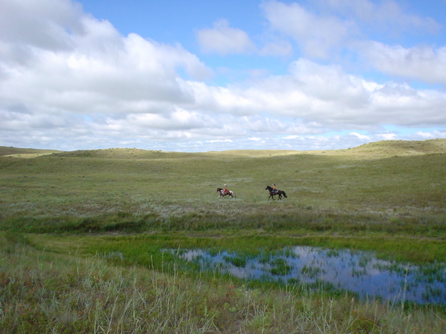 DSC02674.JPG