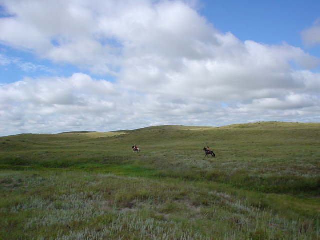DSC02675.JPG