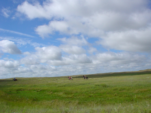 DSC02687.JPG