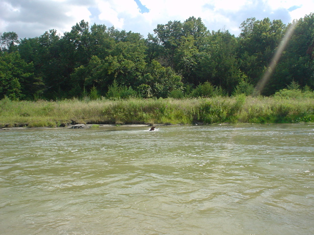 DSC02714.JPG