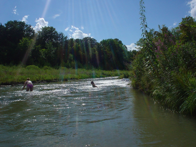 DSC02717.JPG