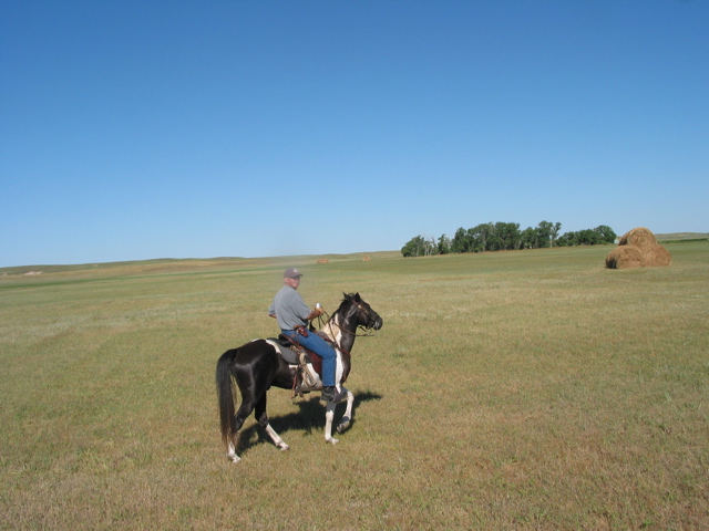 IMG_4756.JPG