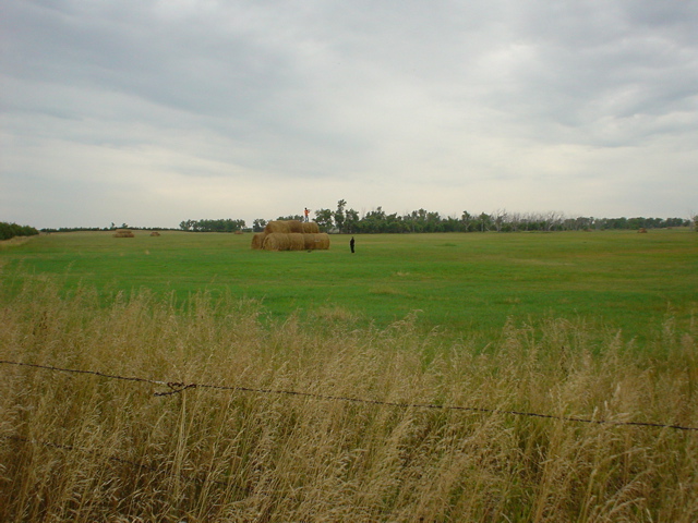 DSC02737.JPG