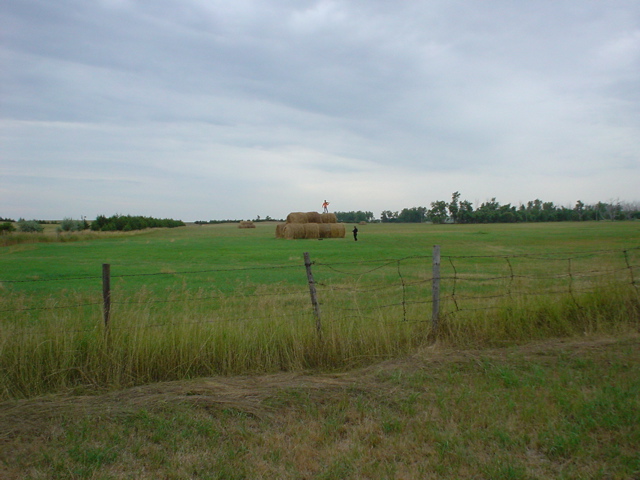 DSC02738.JPG