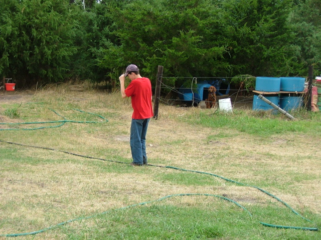 DSCF4164.JPG