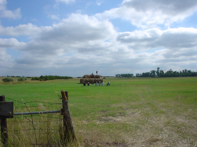 DSC02779.JPG