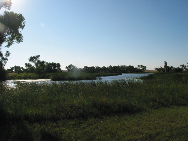 IMG_4772.JPG
