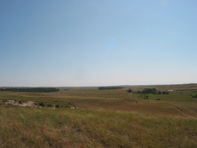 IMG_4776.JPG