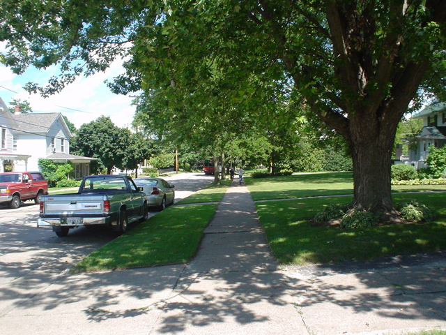 DSC02843.JPG