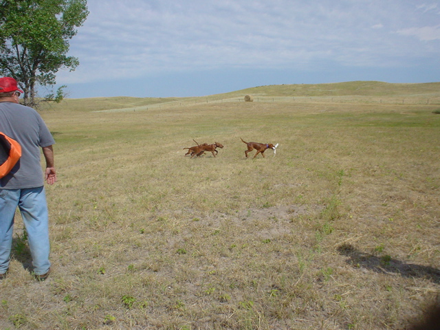 DSC02600.JPG