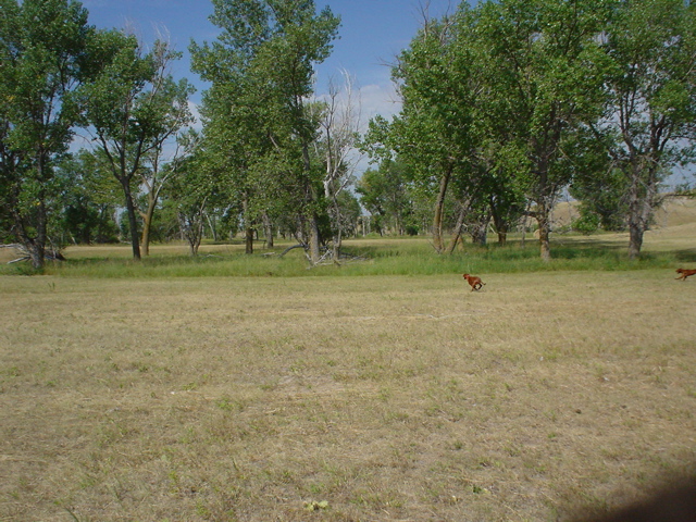 DSC02602.JPG