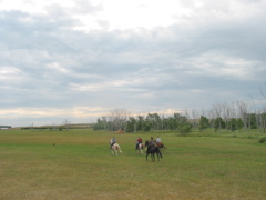 IMG_4725.JPG