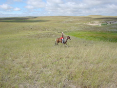 DSC02644.JPG