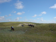 DSC02645.JPG